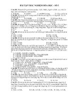 BÀI TẬP TRẮC NGHIỆM HÓA HỌC – SỐ 5 doc