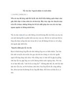 Tắc tia sữa: Nguyên nhân và cách chữa pot