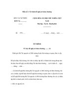 Mẫu Tờ trình đề nghị xét khen thưởng pptx