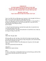 NGHị QUYếT Về VIệC CôNG Bố Và THI HàNH LUậT THUế DOANH THU, LUậT THUế TIêU THụ đặC BIệT Và LUậT THUế LợI TứC HộI đồNG NHà NướC pptx