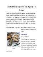 Các bài thuốc trị viêm loét dạ dày - tá tràng pdf