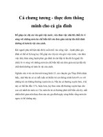 Cá chưng tương - thực đơn thông minh cho cả gia đình ppt