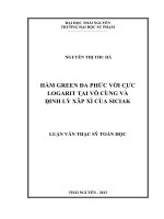 Hàm green đa phức với cực logarit tại vô cùng và định lý xấp xỉ của sicia