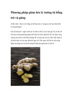 Phương pháp giảm béo lý tưởng từ hồng trà và gừng pot