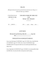 Mẫu Quyết định phê duyệt kết quả đấu thầu docx