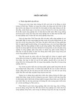 Phân tích chiến lược và một số giải pháp nhằm phát triển kinh tế làng nghề ở tỉnh Thái Bình