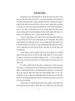 Một số giải pháp nhằm nâng cao hiệu quả kinh doanh ở công ty lương thực cấp I Lương Yên