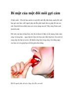 Bí mật của một đôi môi gợi cảm pps