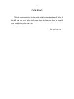 Thử nghiệm sử dụng bacteriocin từ vi  khuẩn lactic nhằm bảo quản cá giò nguyên liệu tươi