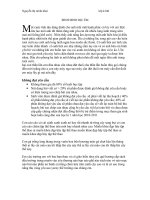 BÌNH MINH DỊU ÊM pps