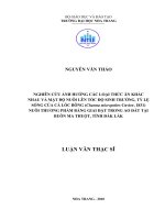 NGHIÊN cứu ẢNH HƯỞNG các LOẠI THỨC ăn KHÁC NHAU và mật độ NUÔI lên tốc độ SINH TRƯỞNG, tỷ lệ SỐNG của cá lóc BÔNG (channa micropeltes cuvier, 1831) NUÔI THƯƠNG PHẨM BẰNG GIAI đặt TRONG AO đất tại BUÔN MA THUỘT, tỉn