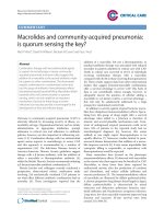 Báo cáo y học: Macrolides and community-acquired pneumonia: is quorum sensing the key
