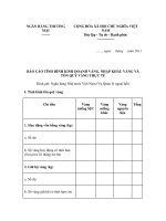 MẪU BÁO CÁO TÌNH HÌNH KINH DOANH VÀNG, NHẬP KHẨU VÀNG VÀ TỒN QUỸ VÀNG THỰC TẾ pot