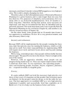 Making It HappenThe Implementers’ Guide to Success with Enterprise Resource Planning phần 2 pptx