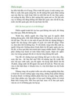 CƠ THỂ NGƯỜI - BỘ NÃO VÀ CÁC BỘ PHẬN CỦA ĐẠI NÃO – 10 ppt