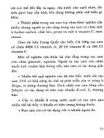 Phòng trị một số bệnh thường gặp trong thú y bằng thuốc Nam part 5 ppsx