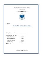 BAI_PHAN TICH TC VNM doc