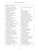 Hidden Financial Risk phần 2 potx