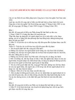 LUẬT SỬA ĐỔI BỔ SUNG MỘT SỐ ĐIỀU CỦA LUẬT THUẾ HÌNH SỰ ppt