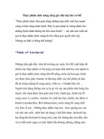 Thực phẩm chức năng cũng gây độc hại cho cơ thể ppsx