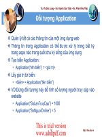 ngôn ngữ lập trình :Đối tượng Application docx
