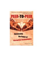 Peer to Peer is the next great thing for the internet phần 1 ppsx