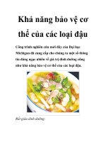 Khả năng bảo vệ cơ thể của các loại đậu potx
