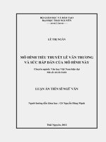 Mô hình tiểu thuyết Lê Văn Trương và sức hấp dẫn của mô hình này