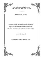 NGHIÊN cứu đặc điểm DINH DƯỠNG , SINH sản  của sá SÙNG (sipunculus robustus kerstein, 1865) tại VÙNG TRIỀU VEN BIỂN CAM RANH – KHÁNH hòa
