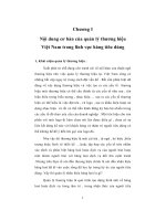 Một số giải pháp hoàn thiện công tác quản lý thương hiệu hàng tiêu dùng