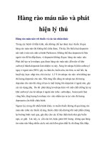 Hàng rào máu não và phát hiện lý thú ppt