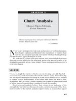A Complete Guide To Technical Trading Tactics, How To Profit Using Pivot Points, Candlesticks & Other Indicators phần 4 pptx