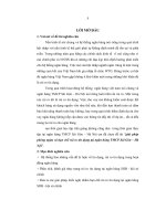 Giải pháp phòng ngừa và hạn chế rủi ro tín dụng tại ngân hàng TMCP Sài Gòn Hà Nội