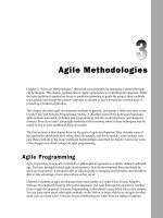 Visual Basic 2005 Design and Development - Chapter 3 potx