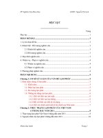 Nghiên cứu lạm phát Việt Nam 6 tháng đầu năm 2011 Thực trạng và Giải pháp