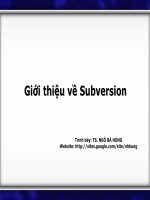 Giới thiệu về Subversion pps