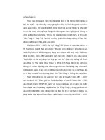 Đánh giá tình hình thực hiện kế hoạch 5 năm 2001 2005 của Tổng Công ty Thép Việt Nam