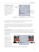 the focal easy guide to photoshop cs 2 phần 3 ppt