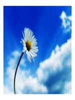 SLIDE QUẢN TRỊ NGUỒN NHÂN LỰC - TỔNG QUAN VỀ NGUỒN NHÂN LỰC pps