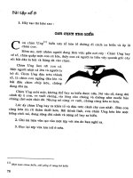 Giáo trình các chương trình ứng dụng tin học văn phòng_4 pps