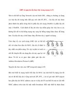 ARP và nguyên tắc làm việc trong mạng LAN pptx