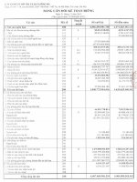 công ty cổ phần đt pt đô thị và kcn sông đà bảng cân đối kế toán riêng  31 tháng 12 năm 2013 báo cáo lưu chuyển tiền tệ báo cáo kết quả hoạt động kinh doanh báo cáo tài chính riêng quý 4 năm 2013