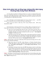 Giáo trình phân tích và tổng hợp những kiểu định dạng thường thấy trong Flash Windows phần 1 docx