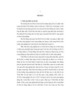 Thị trường nhà ở cho công nhân thuê xung quanh các khu công nghiệp tại Tỉnh Vĩnh Phúc