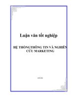 LUẬN VĂN TỐT NGHIỆP: HỆ THỐNGTHÔNG TIN VÀ NGHIÊN CỨU MARKETING pps