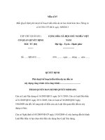 Mẫu Quyết định phê duyệt kế hoạch đấu thầu dự án pdf