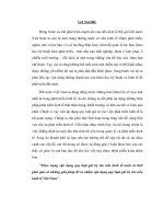 Thực trạng vận dụng quy luật giá trị vào phát triển KT VN thời gian qua và giai pháp ppsx