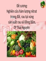 de cuong nghien cuu ham luong nitrat trong dat, rau tai xa dong bam, tp thai nguyen pps
