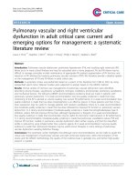 Pulmonary vascular and right ventricular dysfunction in adult critical care: current and emerging options for management: a systematic literature review