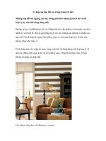 Vẻ đẹp của họa tiết sọc trong trang trí nhà ppsx